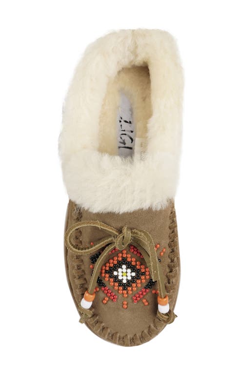 Zigi Birdy Faux Shearling Platform Slipper In Taupe Suede