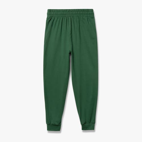 Feat Roam Jogger In Huntergreen