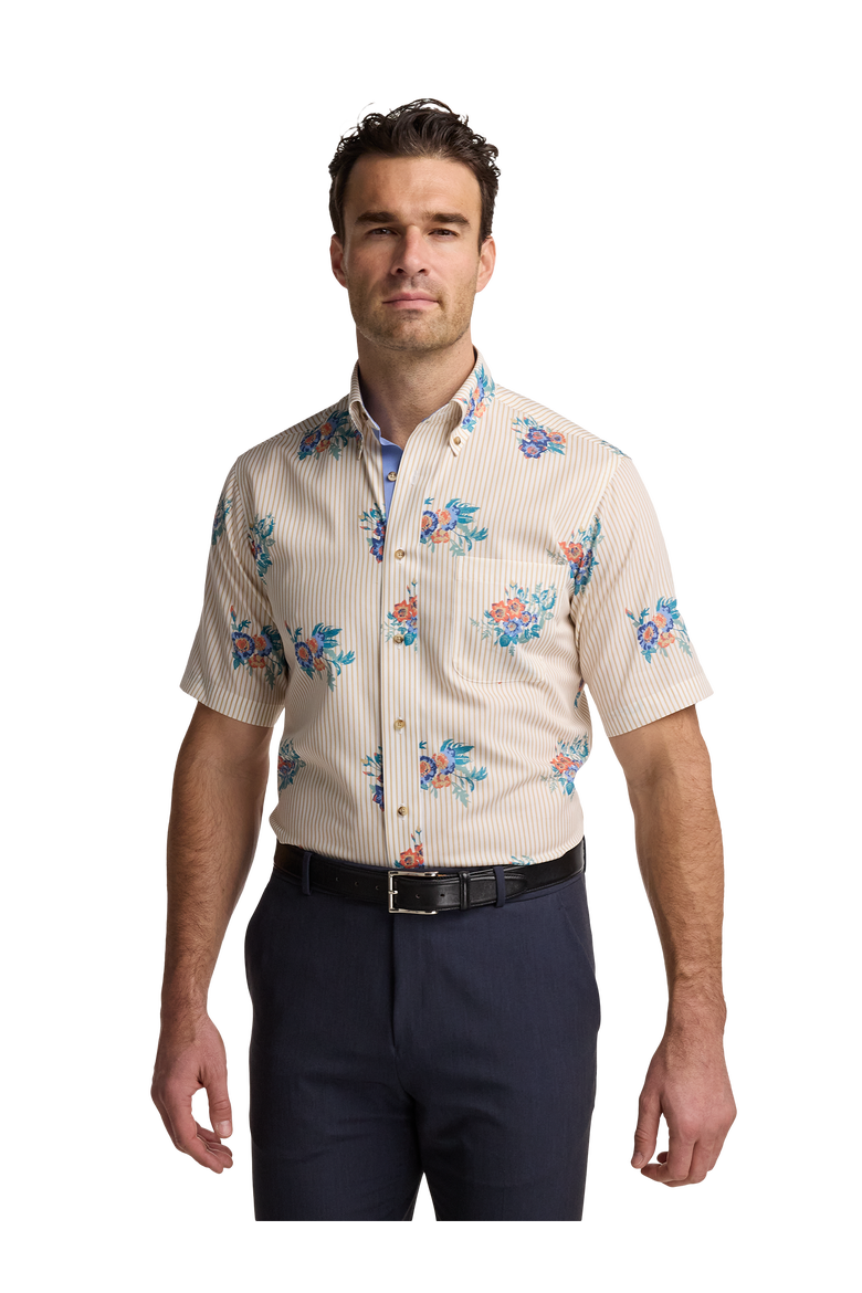 Cotton Buttondown Collar Poplin Classic Contrast Trim Hemmed Sleeve Short Sleeve Shirt, Alternate, color, Tan Multi