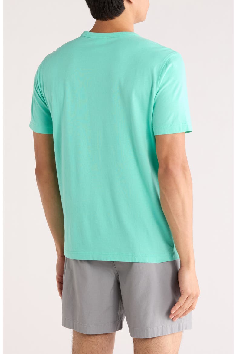 Crewneck Graphic T-Shirt, Alternate, color, GREEN MULTI