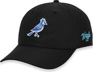 Waggle Blue Jay Flight Baseball Cap
