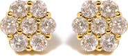 Haus of Brilliance 14K White Gold 3.0 Cttw Diamond Floral Cluster Stud Earring