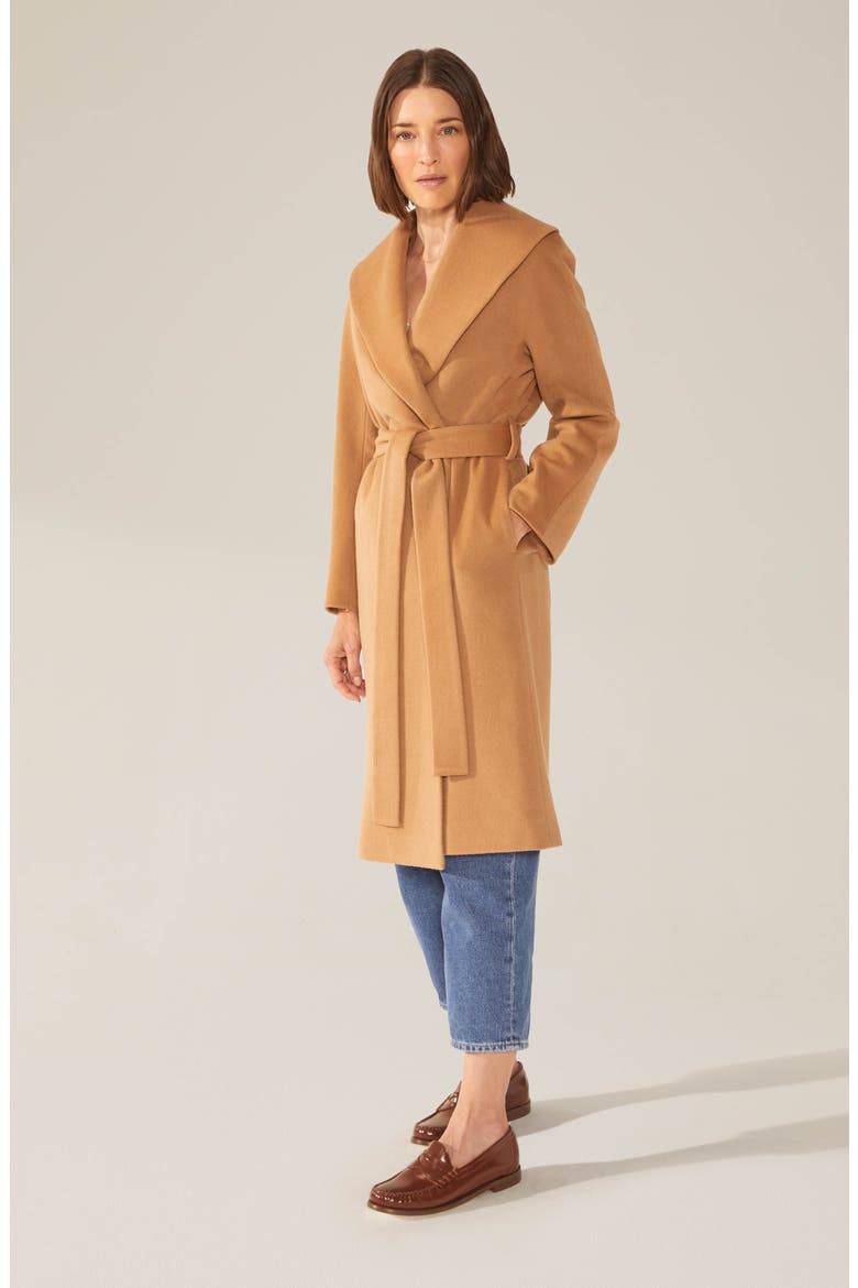 Brigette Cashmere Wool Robe, Main, color, Camel