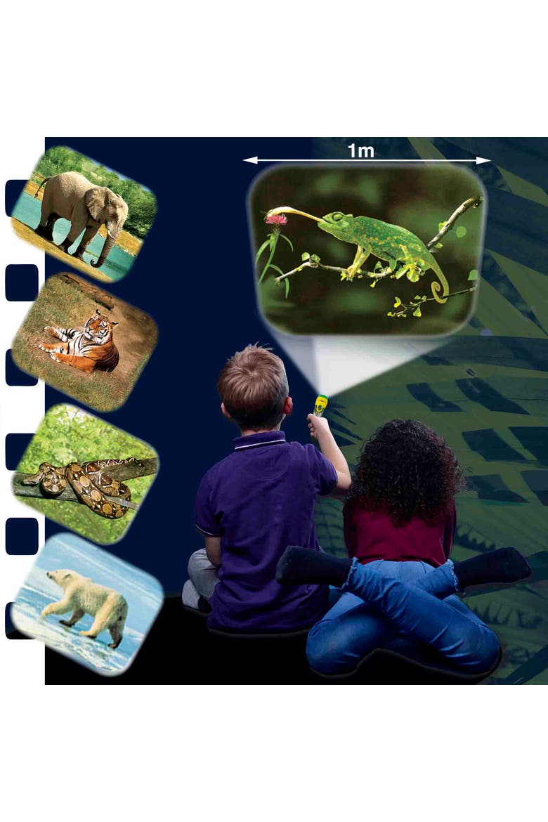 Animal Torch and Projector, Alternate, color, Multicolored