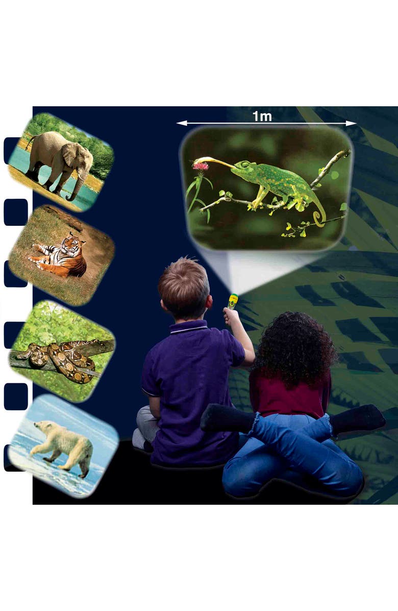 Brainstorm Toys Animal Torch and Projector, Alternate, color, Multicolored