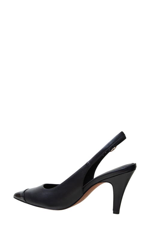 Linea Paolo Niyka Pointed Toe Slingback Pump In Black