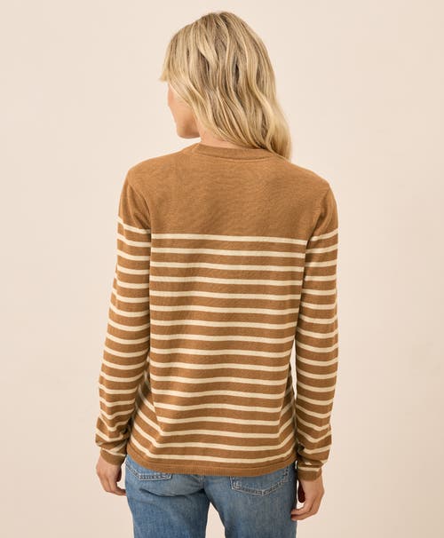 Pact Organic Cotton Classic Fine Knit Crew Sweater In Brown