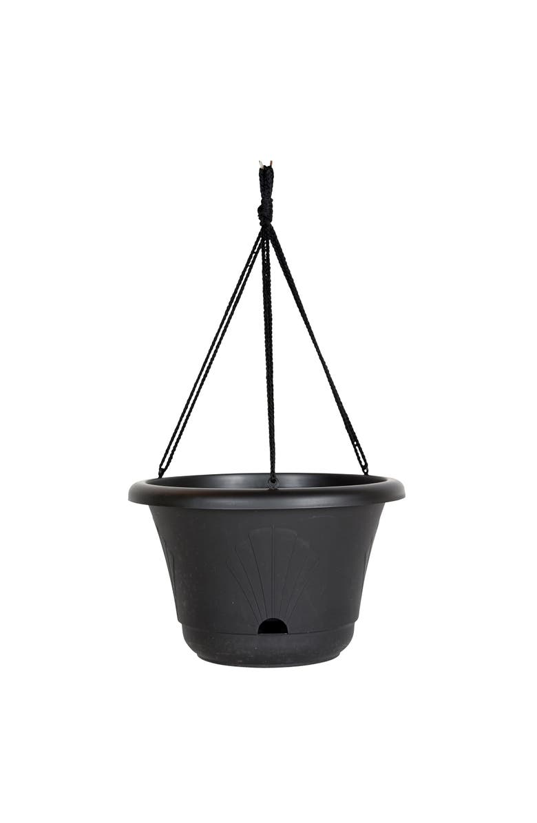 Bloem 13 Inch Lucca Self Watering Hanging Basket, Black, Main, color, Black