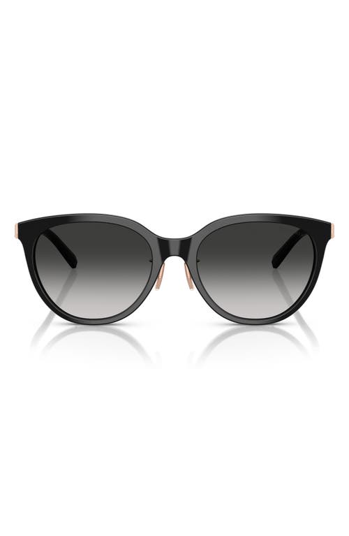 Tiffany & Co . 55mm Round Sunglasses In Multi