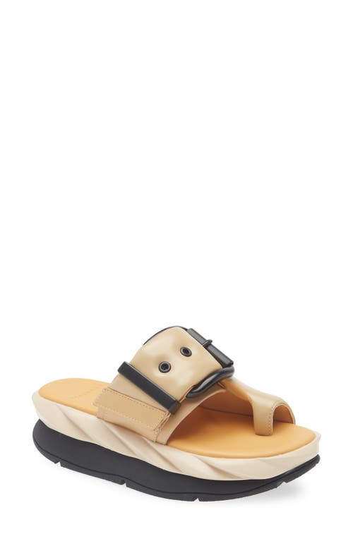4ccccees Mellow Glow Toe Loop Platform Sandal In Brown