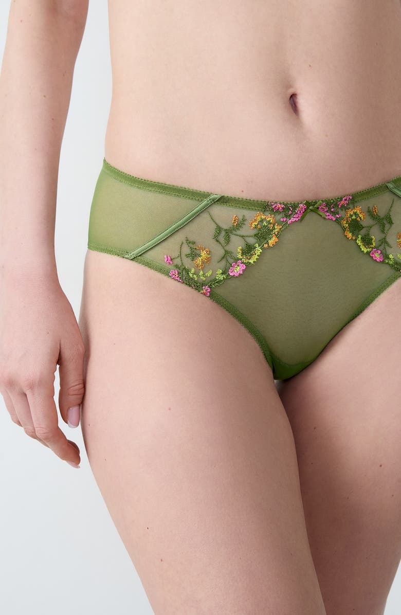 Etam Gourmandise Hipster Briefs, Alternate, color, Green