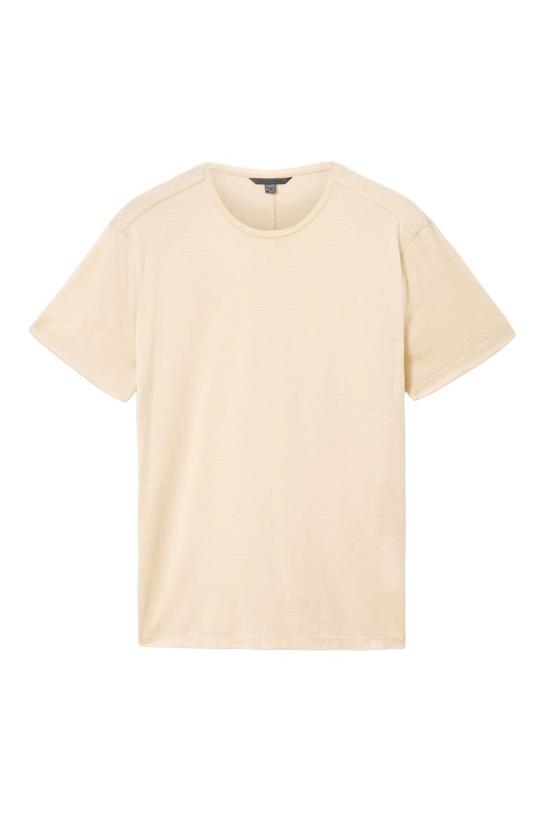 Amato Silk & Organic Cotton Crewneck T-Shirt, Alternate, color, FADED TWINE