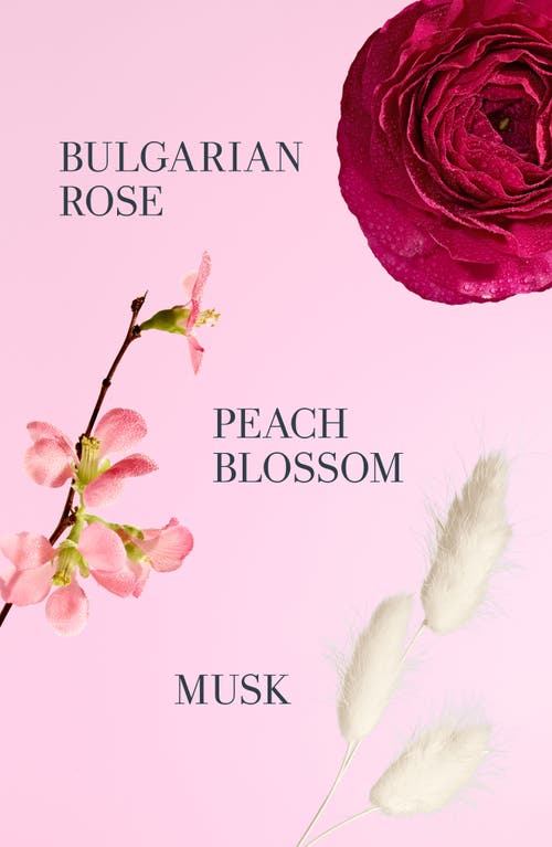 Fresh ® Feeling Rosy Fragrance & Lip Set (nordstrom Exclusive) (limited Edition) $55 Value In Rose