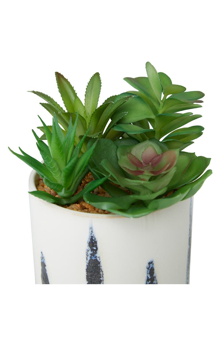 Novogratz Artificial Potted Succulent 2-Piece Set, Alternate, color,