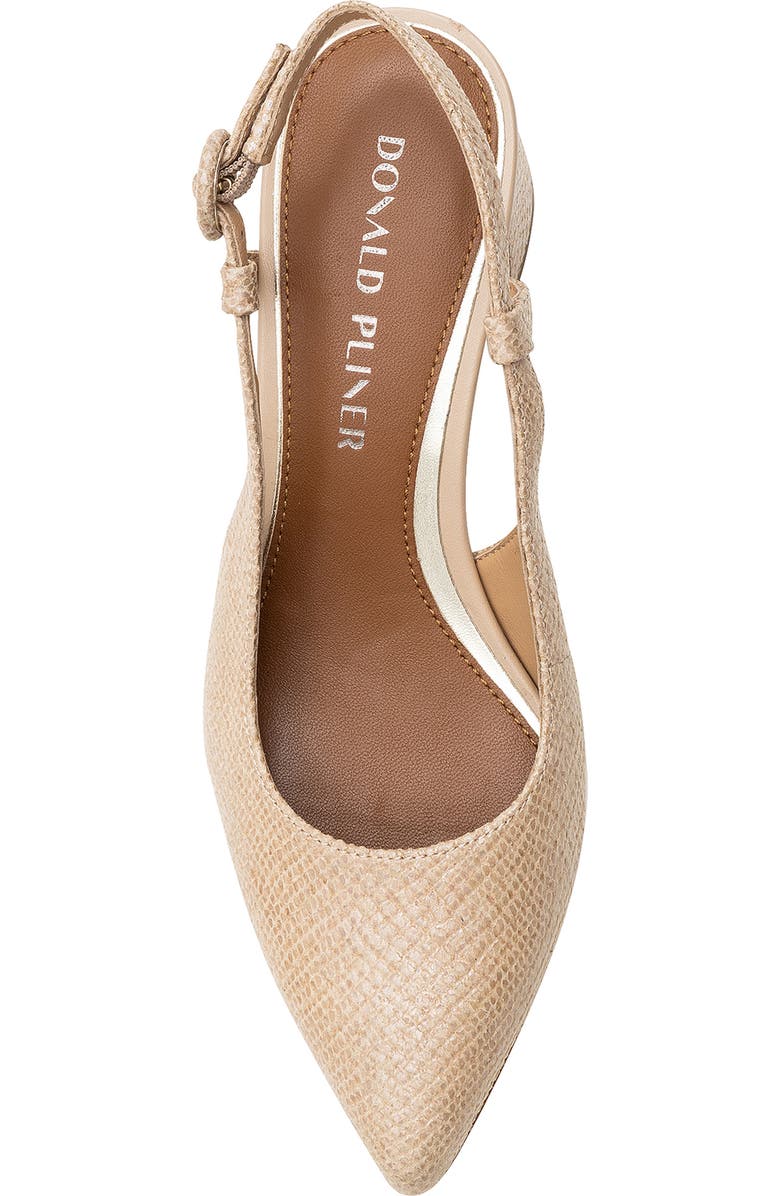 Donald Pliner Song Slingback Pointed Toe Pump, Alternate, color,