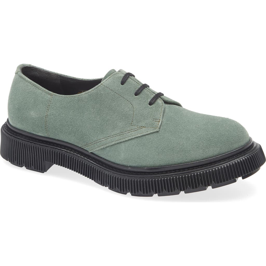 Adieu Plain Toe Derby In Cactus