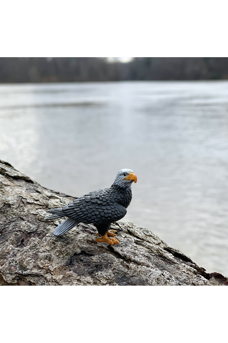 River Toy, Alternate, color, No Color