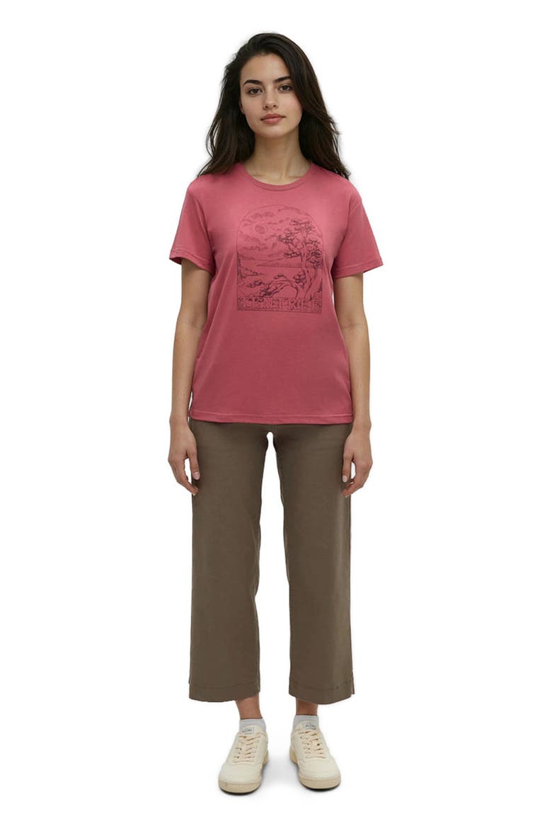 Clifftop T-Shirt, Main, color, Rosewood/Graphite