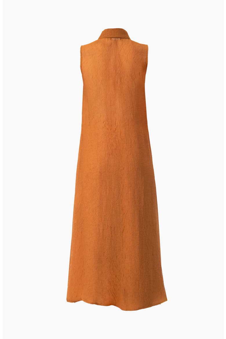 Sleeveless Collared Tunic, Alternate, color, Brown