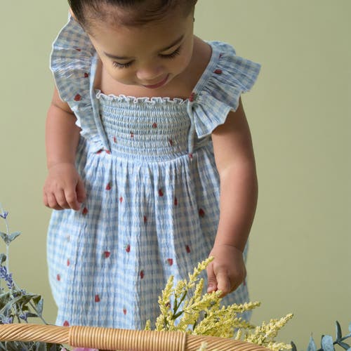 Modern Moments™ By Gerber Ruffle Sleeve Dress And Diaper Cover Set In Ivory Strawberry Gingham