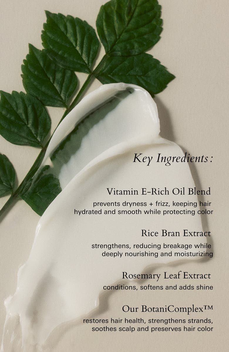 ROZ Foundation Reparative Hair Mask, Alternate, color, 