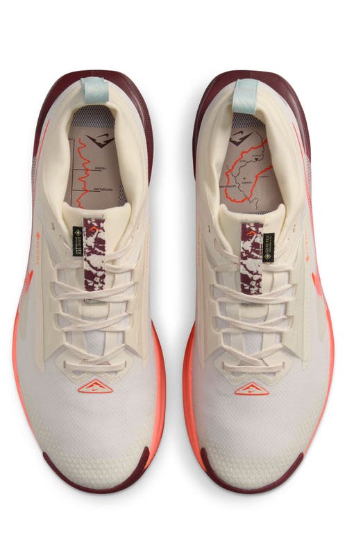 Nike Pegasus Trail 5 Gore-tex® Waterproof Running Shoe In Multi