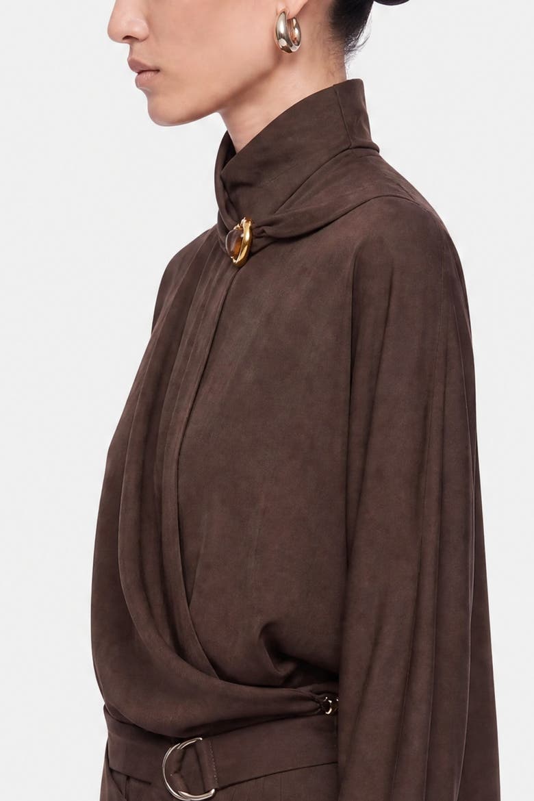 Stone Accessory Stand Collar Blouse, Alternate, color, Brown