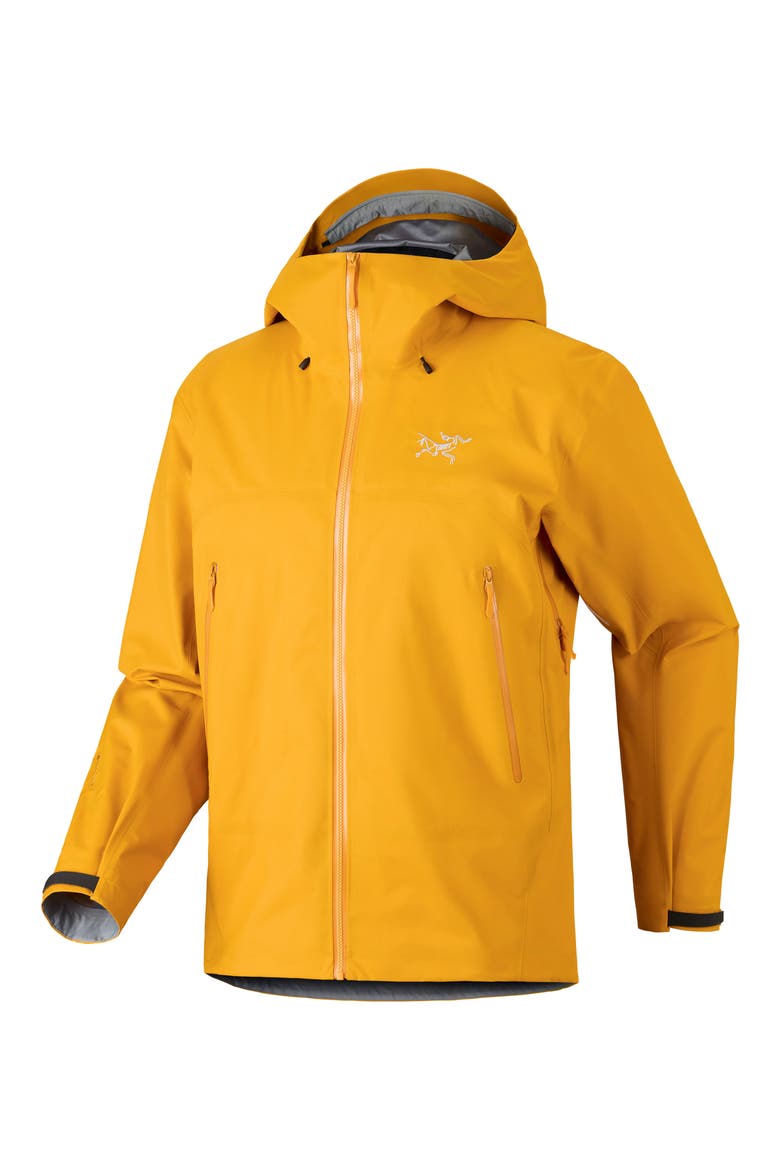 Beta SL GORE-TEX Hooded Jacket, Alternate, color, NUCLEUS