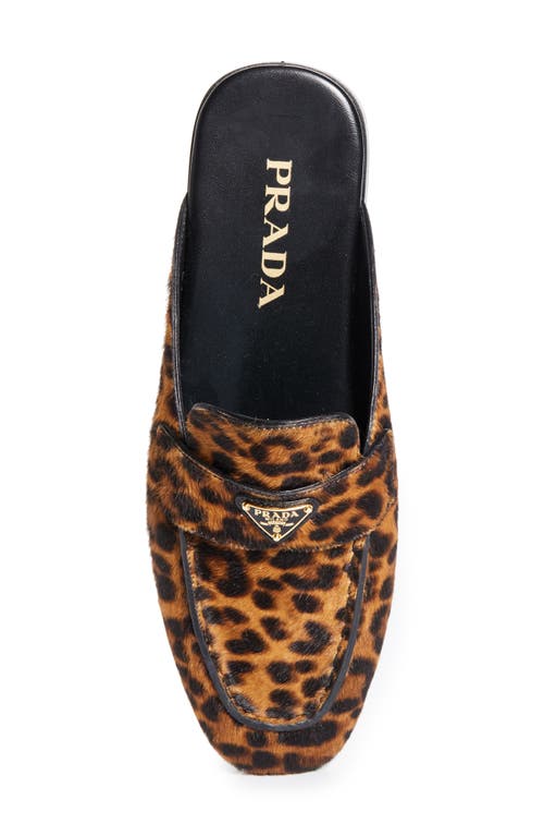 Prada Leopard-print Leather Mules