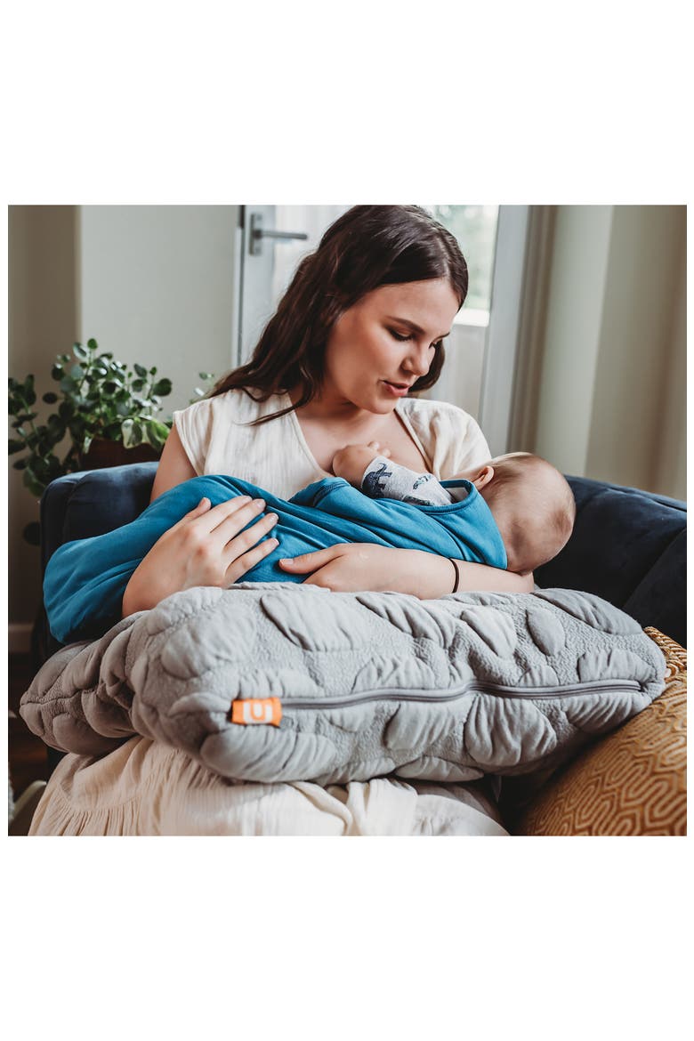 Niche Organic Cotton Feeding Pillow, Alternate, color, MISTY