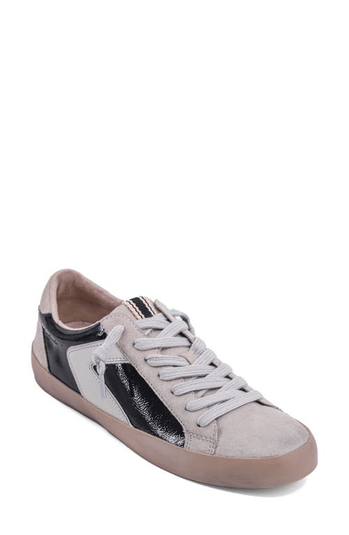 Shushop Robbie Lace-up Sneaker In Black