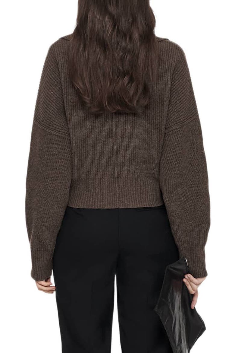 Caron Wool Cardigan, Alternate, color, MOLE BROWN