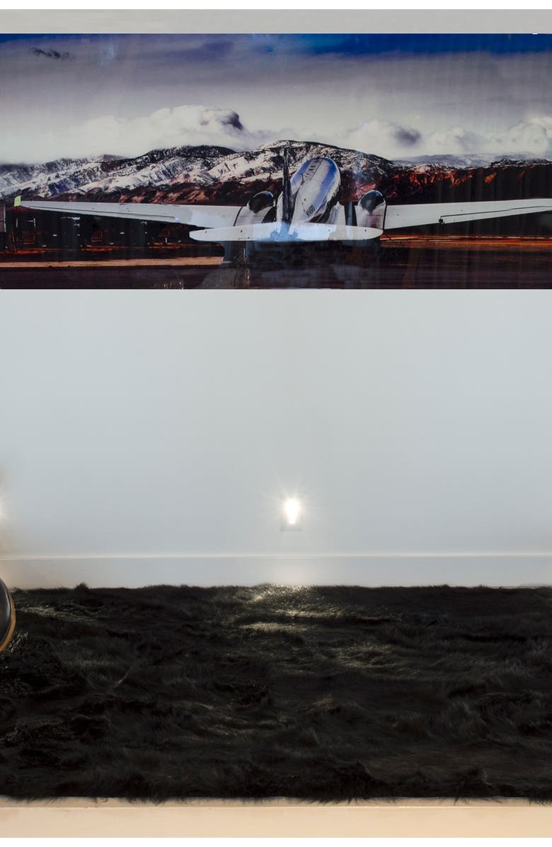 LUXE Faux Fur Hudson 5' X 8' Rectangular Throw - Black, Alternate, color, Black