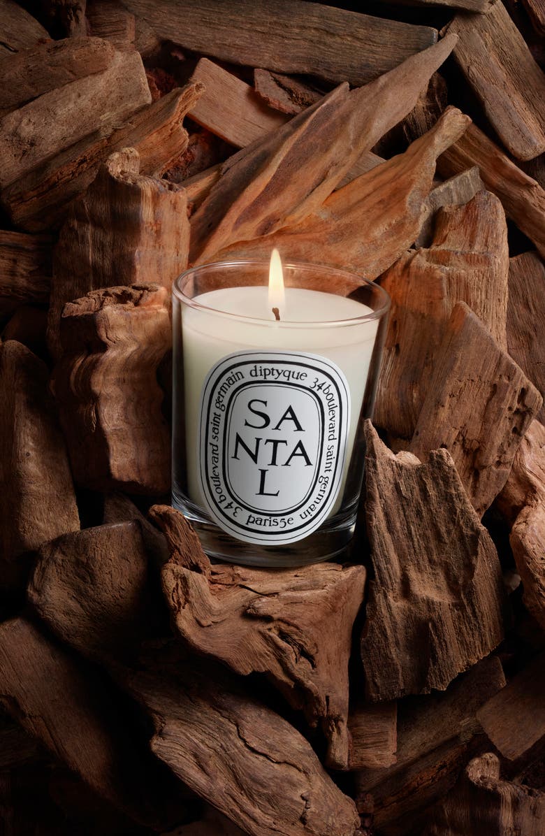 Diptyque Santal (Sandalwood) Scented Candle, Alternate, color, 