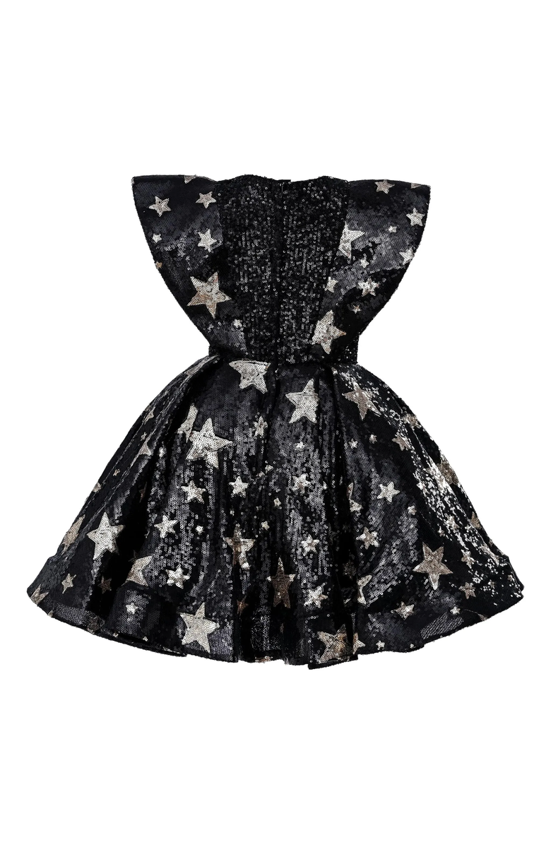 Tulleen Starlit Rivior Dress, Alternate, color, Black