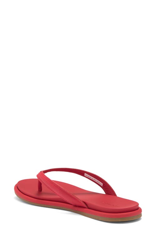 Sperry Isla Flip Flop In Adrenaline Rush Leather Smooth