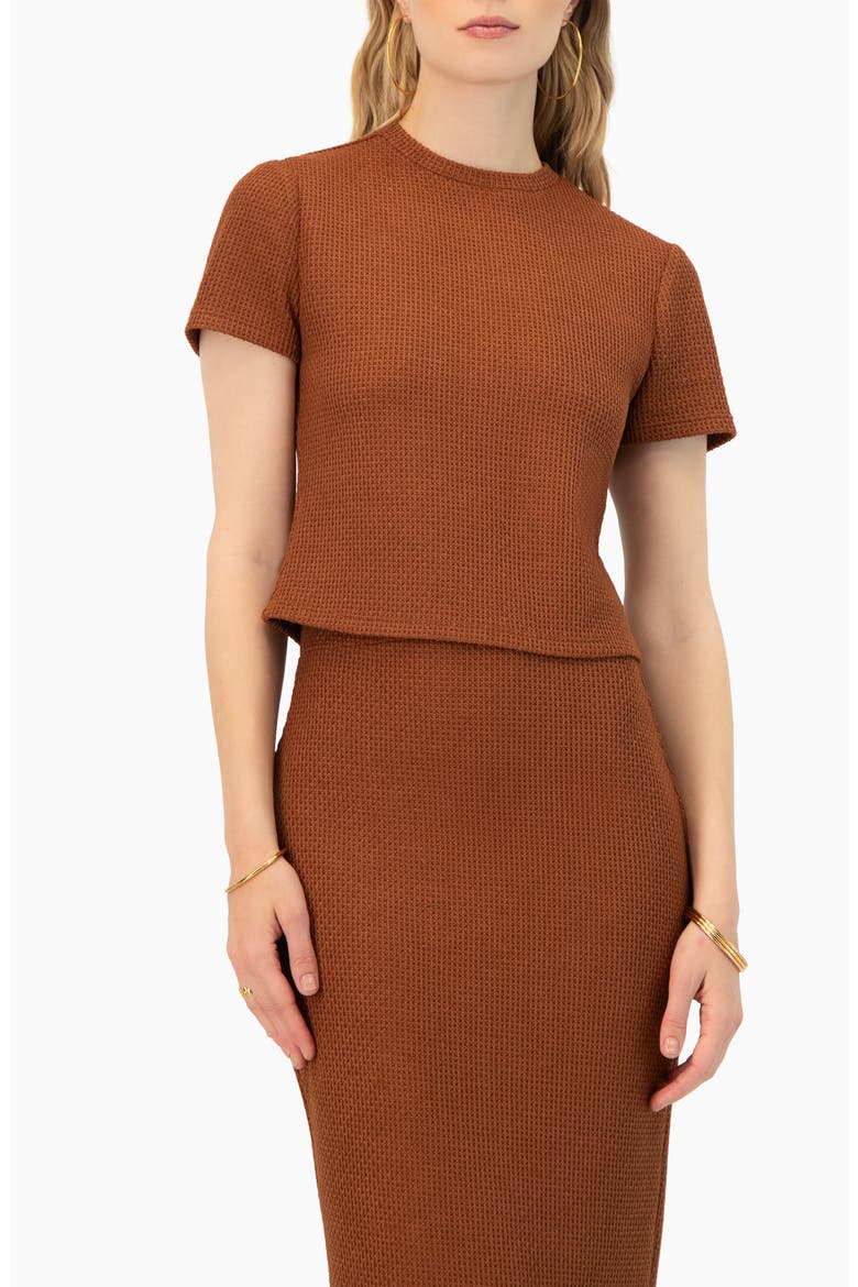 Textured Knit Short Sleeve Top, Main, color, Brown