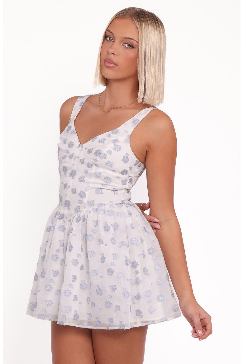 Arianne Floral Sleeveless Fit & Flare Minidress, Alternate, color, WHITE/BLUE FLORAL