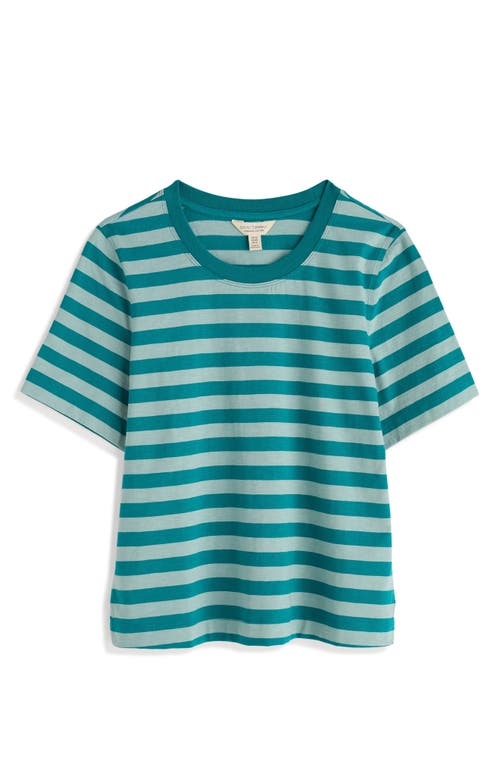 Seasalt Cornwall Copseland Stripe Organic Cotton T-shirt In Multi