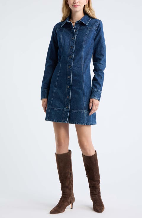 Fit and Flare Denim Minidress