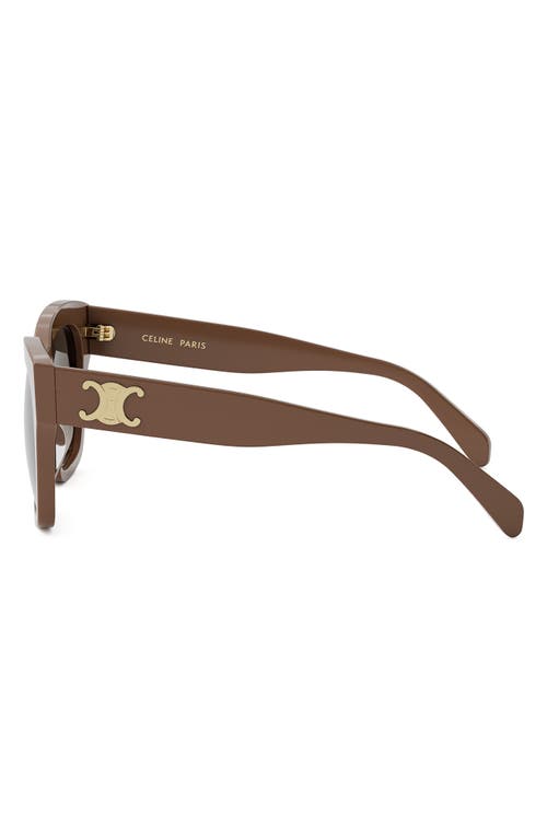 Celine Triomphe Acetate Square Sunglasses In Shiny Light Brown/brown