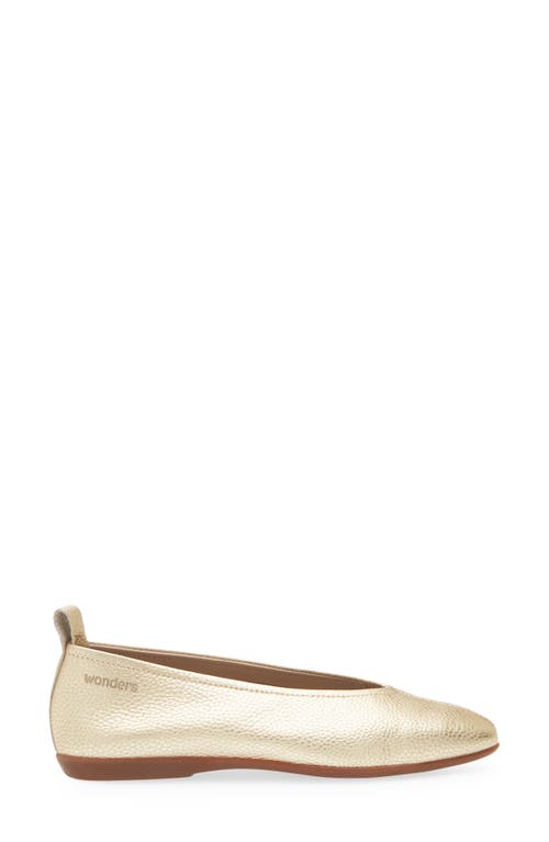 Wonders Ballet Flat In Max Platino