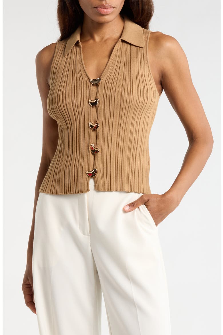 Button Front Sweater Vest, Main, color, BISTRE