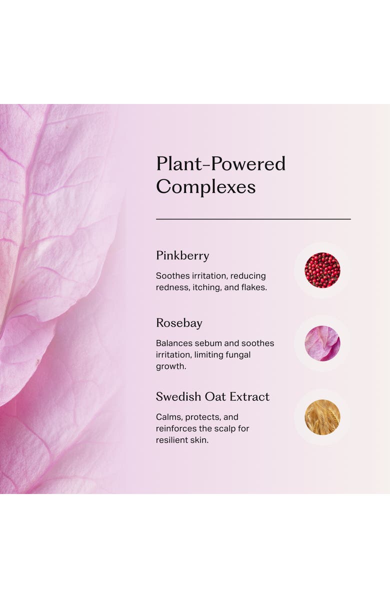 Under Your Skin Soothing Scalp Treatment Shampoo, Alternate, color, NO COLOR