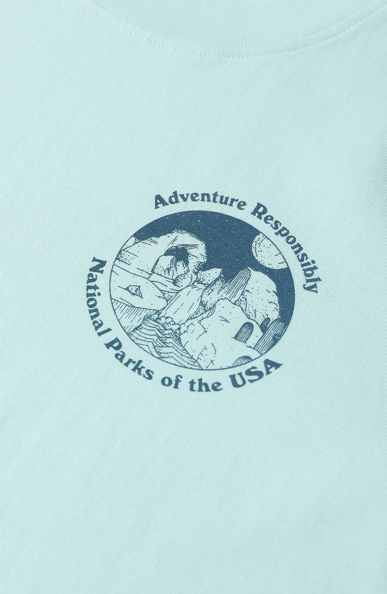 Parks Project National Parks Fill In Boxy Tee, Alternate, color, Ash Blue