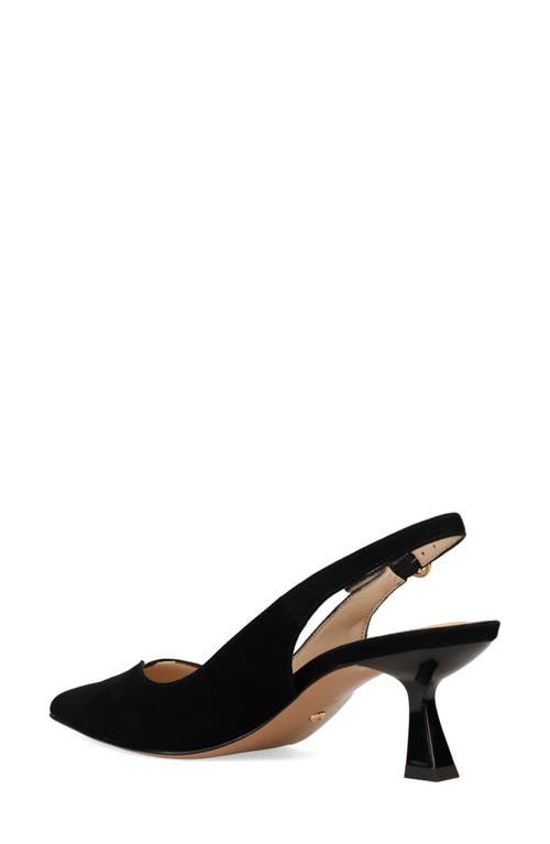 Pelle Moda Janah Slingback Pointed Toe Pump In Black Suede