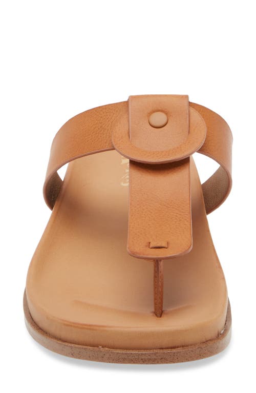 Korks Audie Thong Sandal In Light Tan