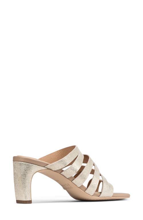 DONALD PLINER DONALD PLINER HAVANNA SANDAL