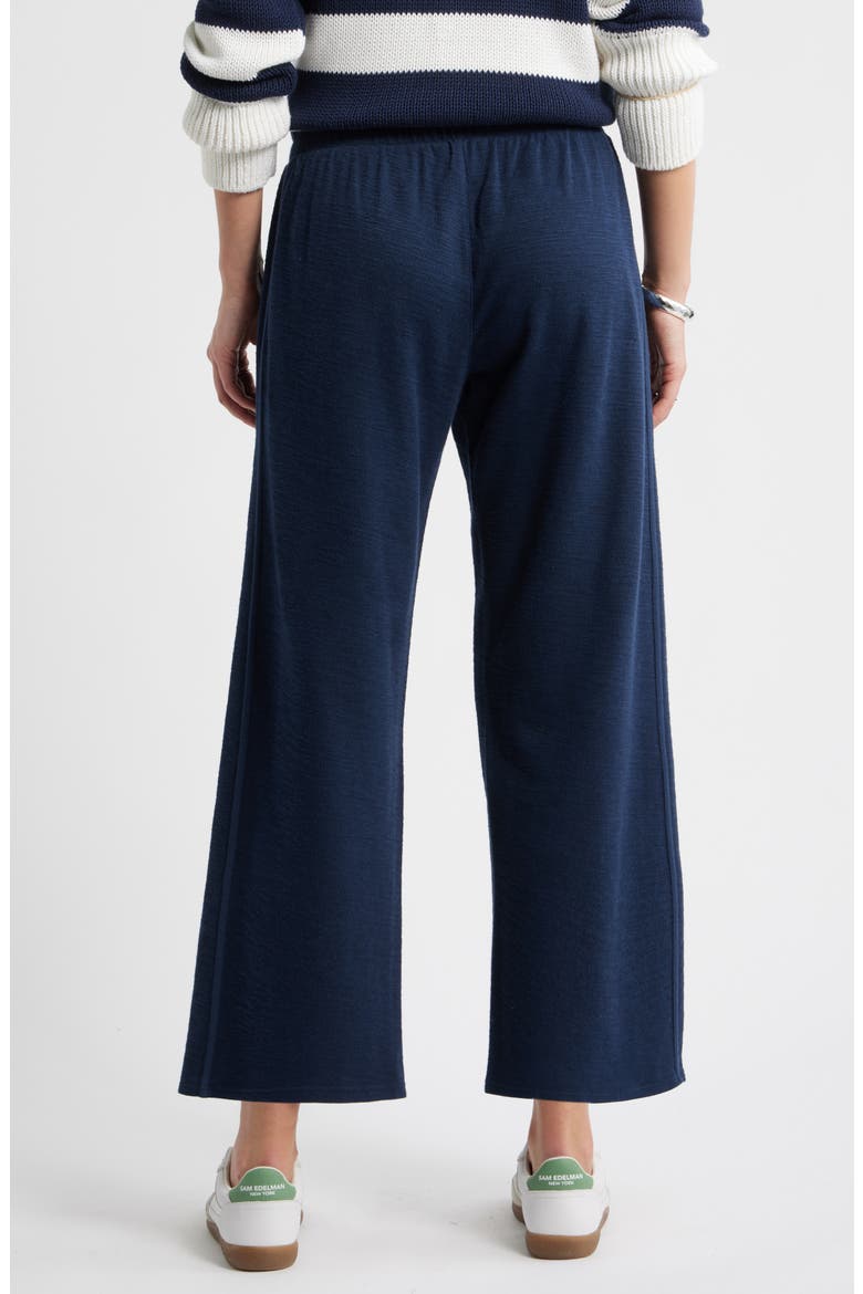 Ankle Wide Leg Travel Pants, Alternate, color, NAVY STILL