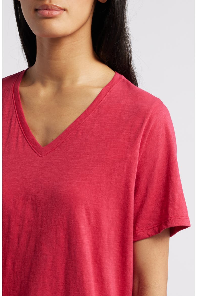 Easy V-Neck Organic Cotton T-Shirt, Alternate, color, AZALA